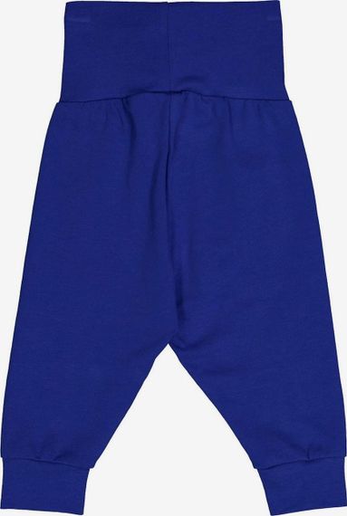 Дитячі теплі спортивні штани для хлопчика Green Cotton 80 см Сині (25111297) | Зображення 1
