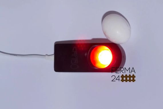 Овоскоп для проверки яиц "Сяйво" | Зображення 6