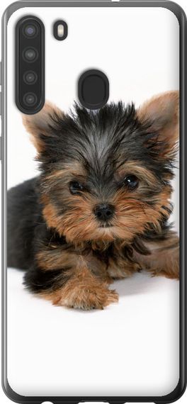 Чехол на Samsung Galaxy A21 Щенок йоркширского терьера "931u-1841-17620"
