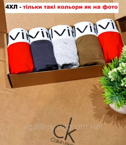 Комплект мужских трусов боксеров Steel (хлопок 95%), 5 шт 4ХЛ | Зображення 1