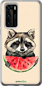 Чохол на Huawei P40 Єнотик з кавуном "4605u-1840-2448"