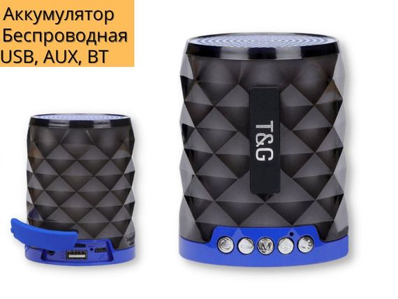 Портативна колонка T&amp;G TG155 10Вт USB, AUX, FM, Bluetooth синя (ЦУ-00034843) | Зображення 1