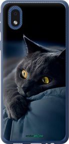 Чохол на Samsung Galaxy A01 Core A013F Димчастий кіт "825u-2065-2448"