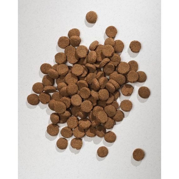 Корм сухий HalfHalf для дорослих собак великих порід із яловичиною 2 кг | Зображення 4