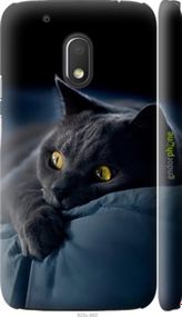 Чохол на Motorola Moto G4 Play Димчастий кіт "825m-860-2448"