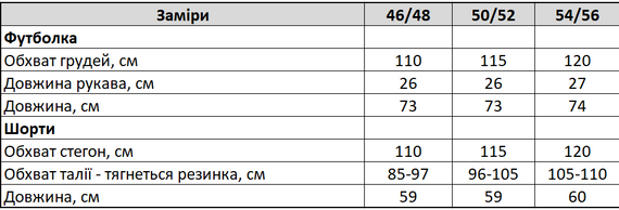 Чоловічий літній спортивний костюм із шортами та футболкою колір коричневий, розмір 50/52 PP057 | Зображення 3