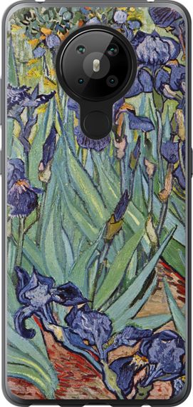 Чехол на Nokia 5.3 Винсент Ван Гог. Ирисы "161u-2102-17620"