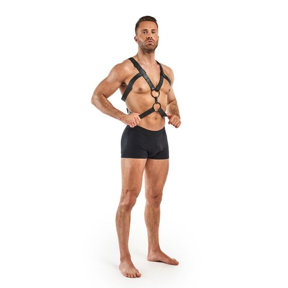 Портупея Bedroom Fantasies Rocco Masculine Masterpiece Чорна One Size | Зображення 3