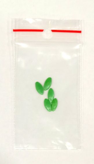 Насіння огірків Артист F1  5 шт. | Зображення 3