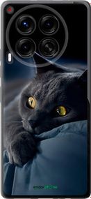 Чохол на Tecno Camon 30 4g Димчастий кіт "825u-3712-2448"