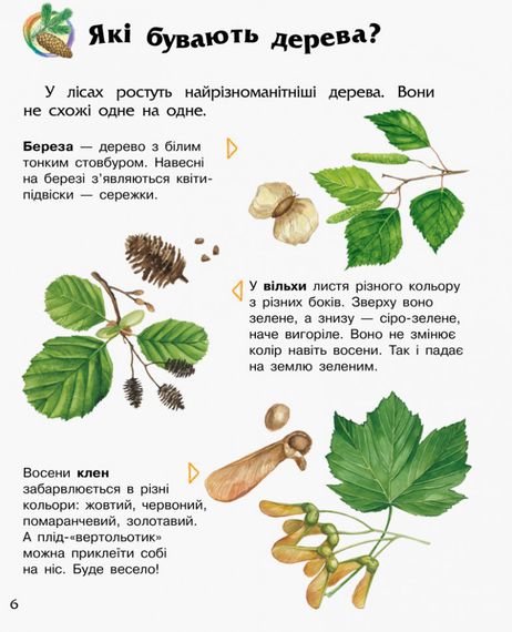 Детская энциклопедия про лес 614016 для дошкольников | Зображення 2