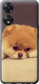 Чехол на Oppo A78 5G Boo 2 "890u-3169-17620"