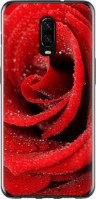 Чехол на OnePlus 6T Красная роза "529u-1587-17620"