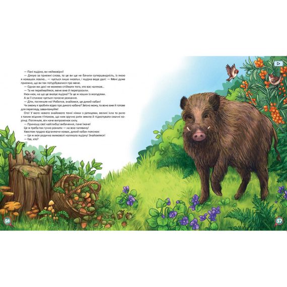 Дитяча книжка Хвости. Найперший детектив 253646, 40 сторінок | Зображення 3