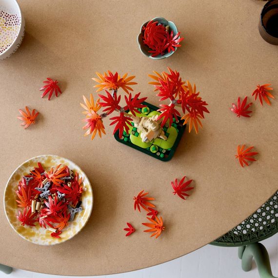 Конструктор LEGO Botanicals Бонсай з японського червоного клена (10348) | Зображення 8