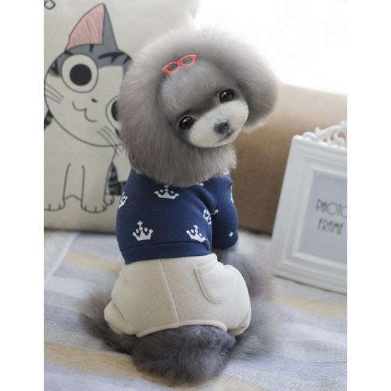 Костюм для собак Cheepet бежевые штаны, принт Короны на спинке, синий | Зображення 1