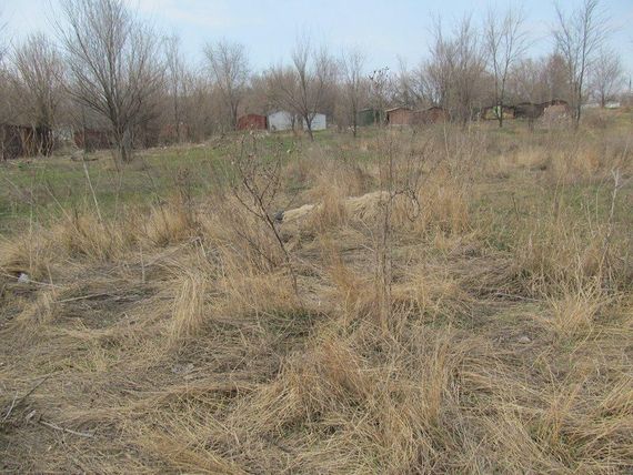 Військова Кікімора  Койот Маскувальний костюм, Масхалат з сумкою Осінь для снайпера   знижка | Зображення 7