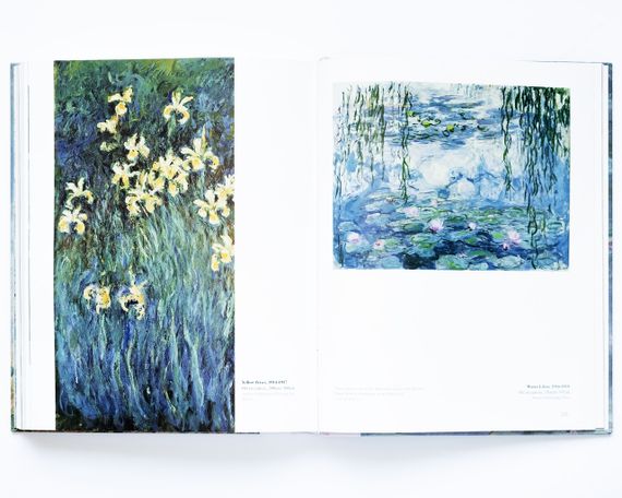 Книга про життя і творчість Клода Моне Monet. Light chaser of nuance живопис книги | Зображення 8