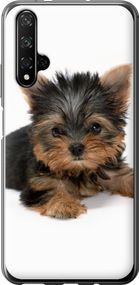 Чехол на Huawei Nova 5T Щенок йоркширского терьера "931u-1833-17620"
