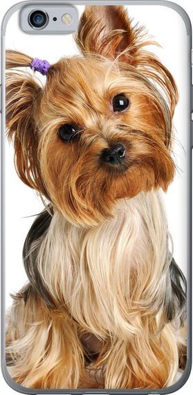 Чехол на iPhone 6 Йоркширский терьер с хвостиком "930u-45-17620"