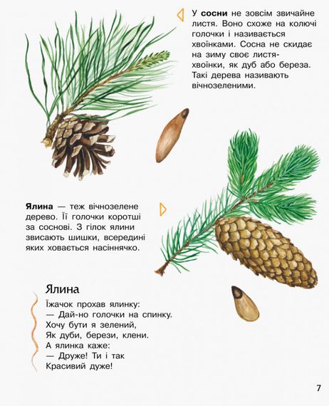 Дитяча енциклопедія про ліс 614016 для дошкільнят | Зображення 1