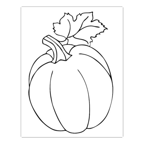 Большая книга раскрасок "Для малышей" 1736003, 64 страницы | Зображення 5