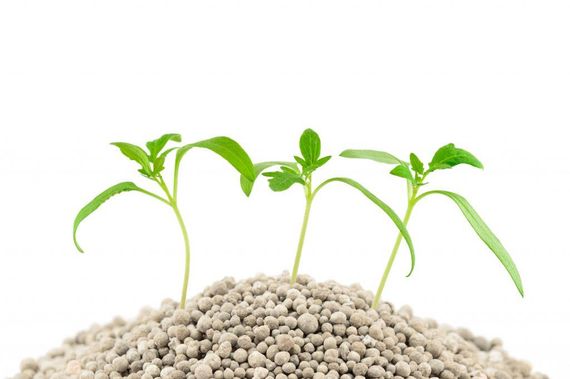 Мінеральне добриво ЕкоПлант 1 кг | Зображення 1