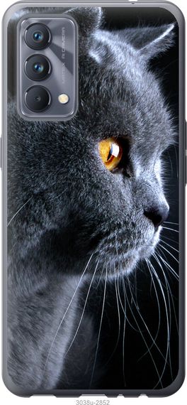 Чехол на Realme GT Master Красивый кот "3038u-2852-17620"