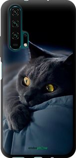 Чохол на Huawei Honor 20 Pro Димчастий кіт "825b-1702-2448"