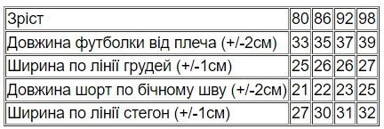 Комплект ясельний для хлопчика (футболка+шорти) | Зображення 4