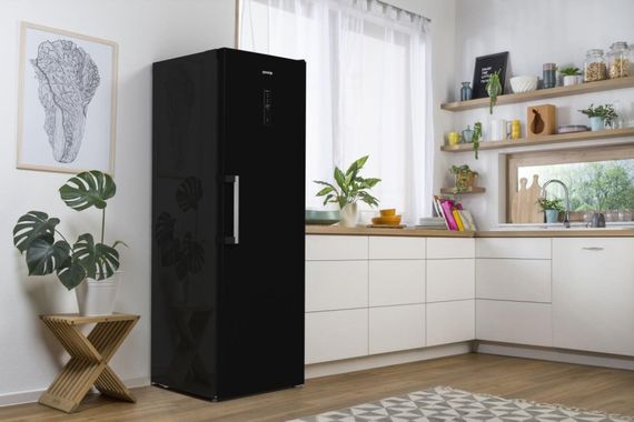 Холодильная камера Gorenje R619EABK6 | Зображення 1