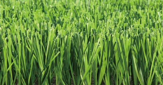 Искусственная трава для футбола CCGrass Nature D3-40 | Зображення 5