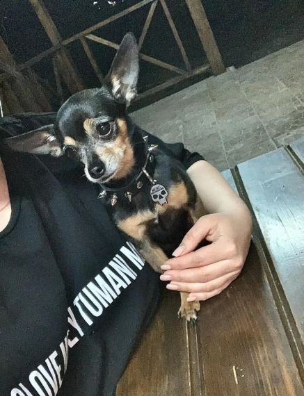 Шкіряний чорний нашийник для собаки ручної роботи