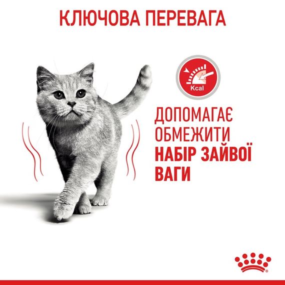 Корм Royal Canin Light Weight Care сухий для зниження ваги у дорослих котів 0.4 кг | Зображення 4