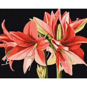 Картина за номерами "Амаріліс" © Anastasiia Osmolovska BS53725, 40х50 см