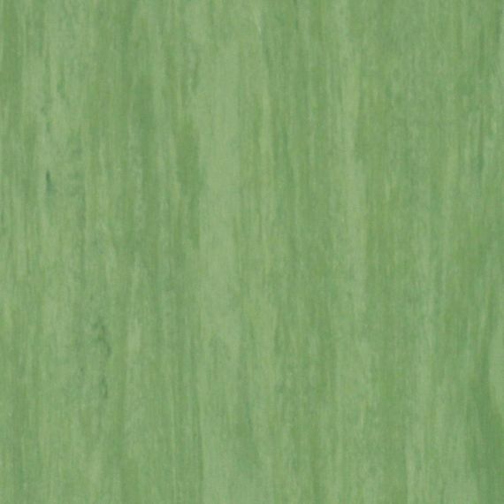 Лінолеум Tarkett Standard Plus Dark Green 0921 (2m)