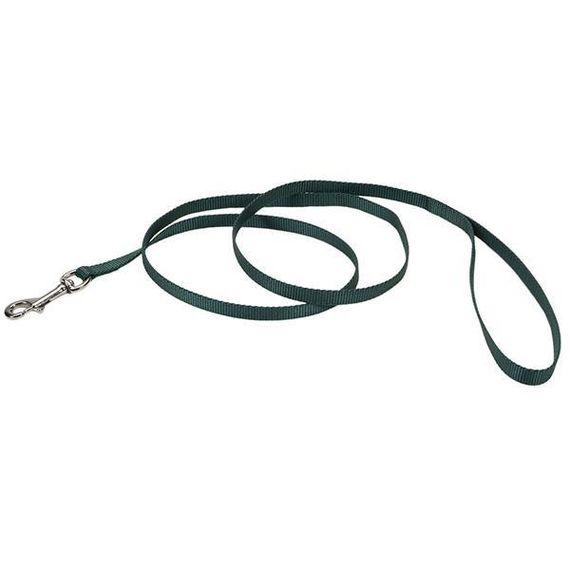 Coastal Nylon Leash костал найлон поводок для собак, 1смХ1.2м