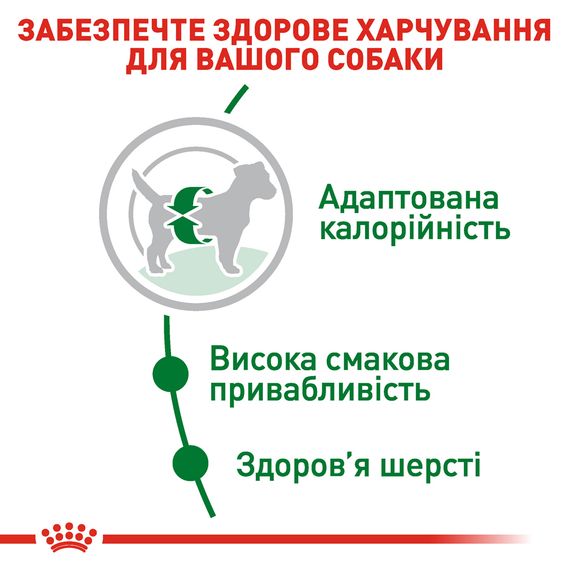 Сухий корм Royal Canin Mini Adult для собак дрібних порід старше 10 місяців 2 кг | Зображення 2