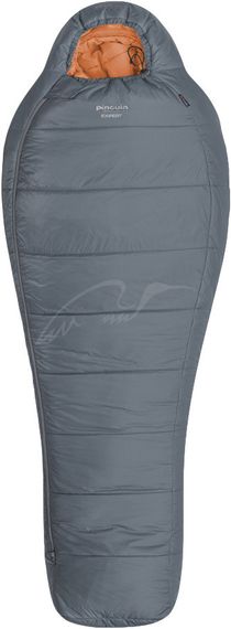 Спальный мешок Pinguin Expert CCS 185 2020. R. Grey