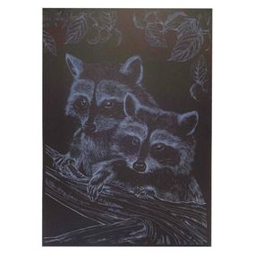 Гравюра А4 "Єнот" ГрА4-16с економ варіант в пакеті 29,7х21 см