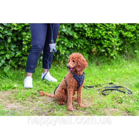 Шлея Trixie CityStyle H-harness для собак бавовна S–M 42–60 см 15 мм чорна | Зображення 3