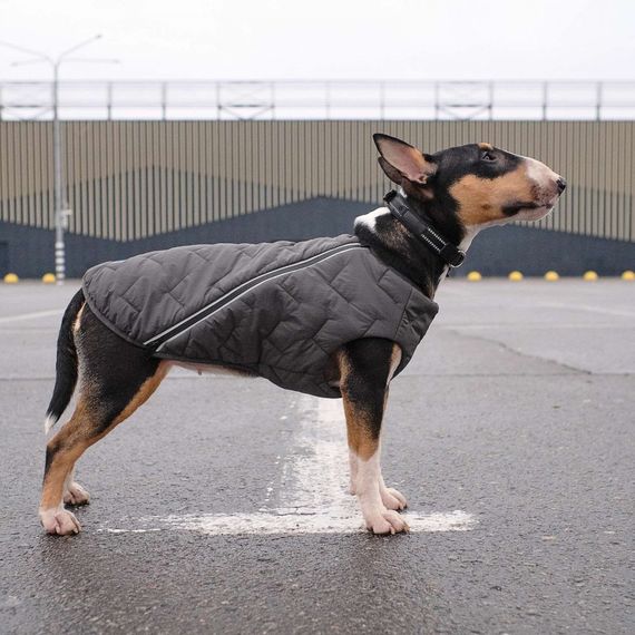 Жилет Pet Fashion E.Vest для собак сірий XS-2 | Зображення 5
