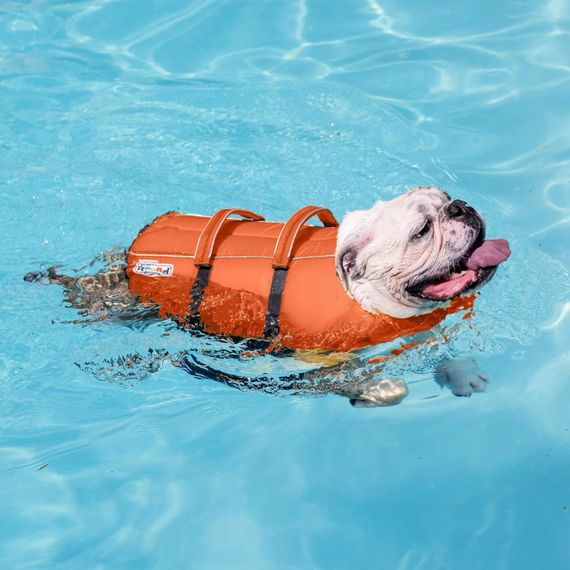 Жилет для плавання для собак Outward Hound Granby Splash, розмір M | Зображення 5