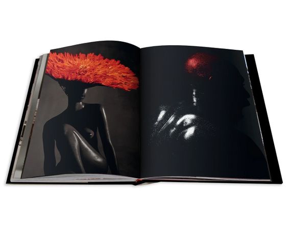 Книга фотоальбоми відомих фотографів Франсіс Джакобетті Giacobetti. Jerome Neutres книги про ню фотографів | Зображення 5