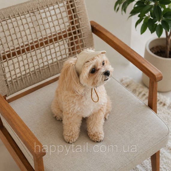 Кепка для собак Pet Fashion Glamor XS золотиста — літній бавовняний капелюх з отвором для топ-кнот | Зображення 3