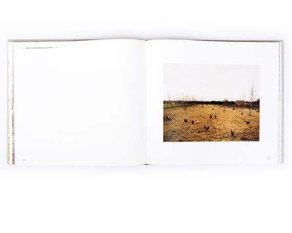 Альбомы известных фотографов книга работ Андреаса Гурски Andreas Gursky фотоискусство книги с иллюстрациями | Зображення 6