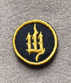 Шеврон 30 мм (жовтий)