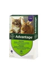 Краплі Bayer Адвантейдж від бліх, для котів від 4 до 8 кг, 1 піпетка