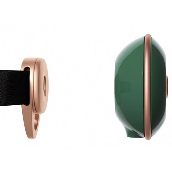 Набір затискачі для сосків з вібрацією та нашийник Qingnan No.2, зелений | Зображення 1