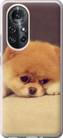 Чехол на Huawei Nova 8 Pro Boo 2 "890u-2246-17620"